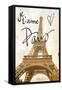 Je T'aime Paris-Emily Navas-Framed Stretched Canvas