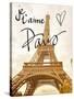 Je t'aime Paris-Emily Navas-Stretched Canvas