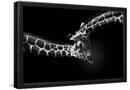 Essential Black