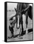 Jean Anne Evans, 14 Month Old Texas Girl Kissing Her Horse-Allan Grant-Framed Stretched Canvas