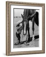 Jean Anne Evans, 14 Month Old Texas Girl Kissing Her Horse-Allan Grant-Framed Photographic Print