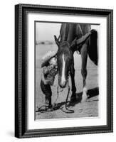 Jean Anne Evans, 14 Month Old Texas Girl Kissing Her Horse-Allan Grant-Framed Photographic Print