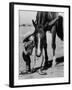 Jean Anne Evans, 14 Month Old Texas Girl Kissing Her Horse-Allan Grant-Framed Premium Photographic Print