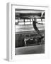 Jean Babilee, Star of Ballets Des Champs Elysees, Leaping During Practice as Other Dancers Watch-Gjon Mili-Framed Photographic Print