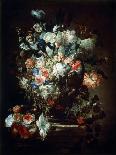 Flowers, 17th Century-Jean-Baptisite Monnoyer-Giclee Print