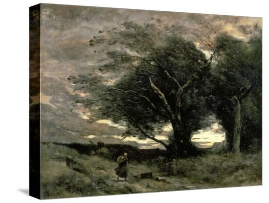 Stretched Canvas Print, , large