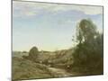 Wood Mount