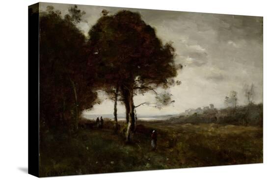 Stretched Canvas Print, , large