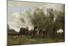 Wood Mount