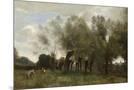 Wood Mount