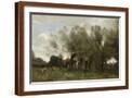 Brown Frame