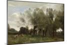 Wood Mount