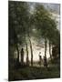 Wood Mount
