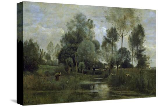 Stretched Canvas Print, , large