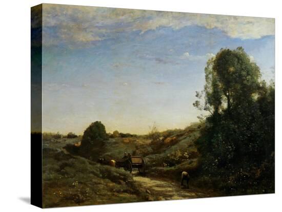 Stretched Canvas Print, , large