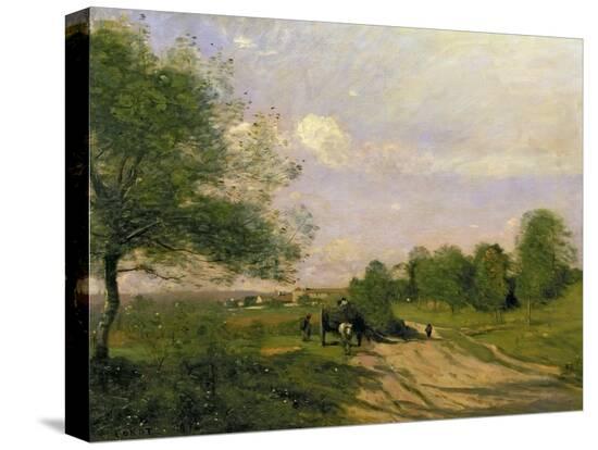 Stretched Canvas Print, , large