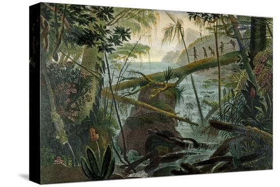 Stretched Canvas Print, , large