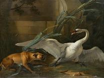 Swan Attacked by a Dog, 1745-Jean-Baptiste Oudry-Giclee Print
