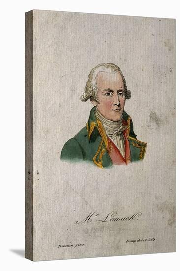 Jean-Baptiste Pierre Antoine de Monet, Chevalier de Lamarck (1744-1829), 1801-null-Stretched Canvas