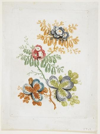 Bouquet De Fantaisie, from Nouvelle Suitte De Cahiers De Fleurs Ideales, Late 18th Century