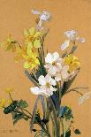 Still Life of Flowers-Jean Benner-Framed Stretched Canvas