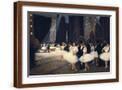 Brown Frame