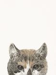 Cat Friend - Alfie-Jean Bernard-Giclee Print
