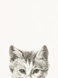 Lying Cat, Facing Right, by a Dish, 1812-Jean Bernard-Art Print