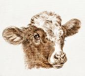 Sepia Grazing Cow sketch II-Jean Bernard-Art Print