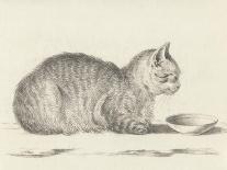 Lying Cat, Facing Right, by a Dish, 1812-Jean Bernard-Art Print