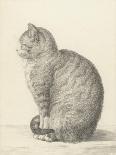 Lying Cat, Facing Right, by a Dish, 1812-Jean Bernard-Framed Stretched Canvas