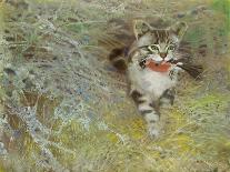 Poaching Cat, 1910-Jean Bloé Niestle-Stretched Canvas