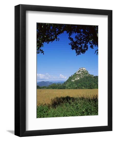 Premium Photographic Print, , large