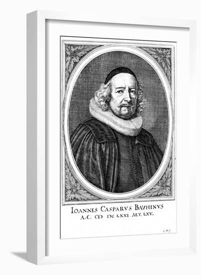 Jean Caspar Bauhin (1606-165), Swiss Physician and Botanist-null-Framed Giclee Print