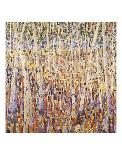 Birch Grove-Lisa Congdon-Stretched Canvas