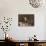 Jean Charcot Photo-null-Photographic Print displayed on a wall