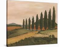 Sunny Tuscan Road-Jean Clark-Mounted Art Print