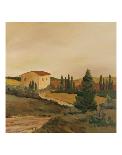 Sunny Tuscan Fields-Jean Clark-Mounted Art Print