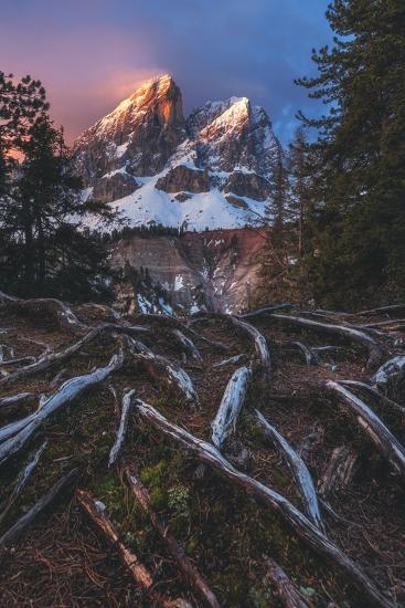 Photographic Print, , large