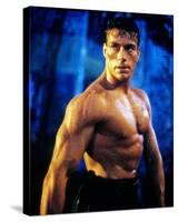 Jean-Claude Van Damme-null-Stretched Canvas