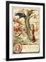 Jean De La Fontaine, French Poet and Fabulist-null-Framed Giclee Print