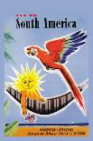 Fly to South America-Jean Dubois-Laminated Art Print