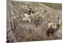 Wood Mount