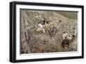Black Frame