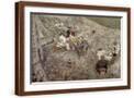 Brown Frame