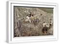 White Frame
