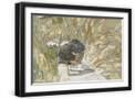 Black Frame