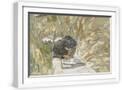 White Frame