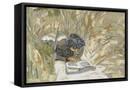 Canvas Black