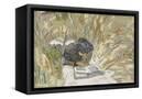 Canvas Black